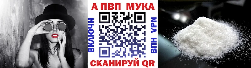 МЕФ Сочи