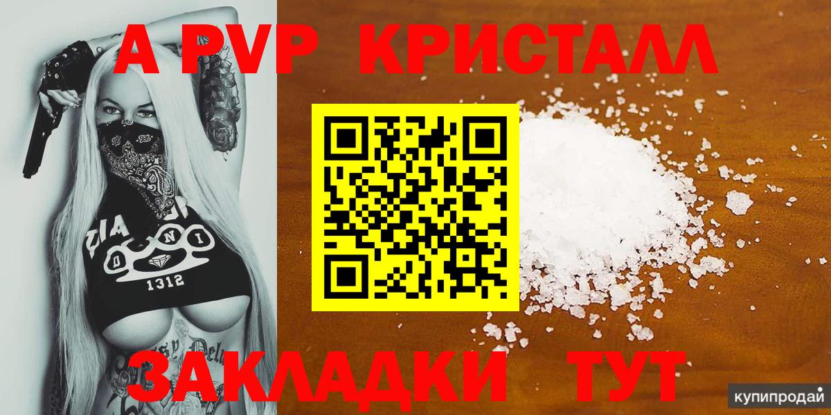 Альфа ПВП СК КРИС Сочи