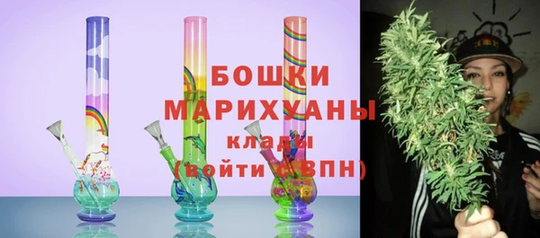 сатива Балахна
