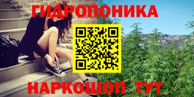 герыч Тверь