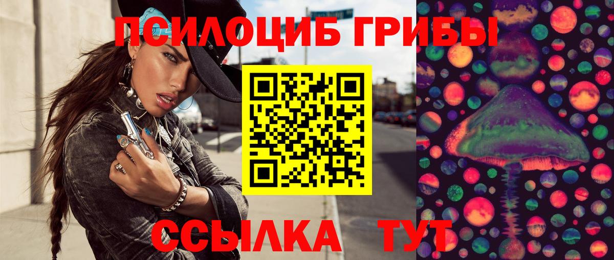 Псилоцибиновые грибы Psilocybine cubensis  хочу   Сочи  Вход с VPN 