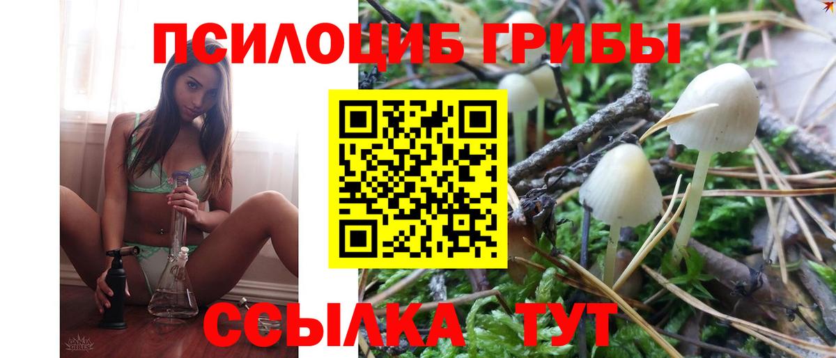 Псилоцибиновые грибы ЛСД Сочи